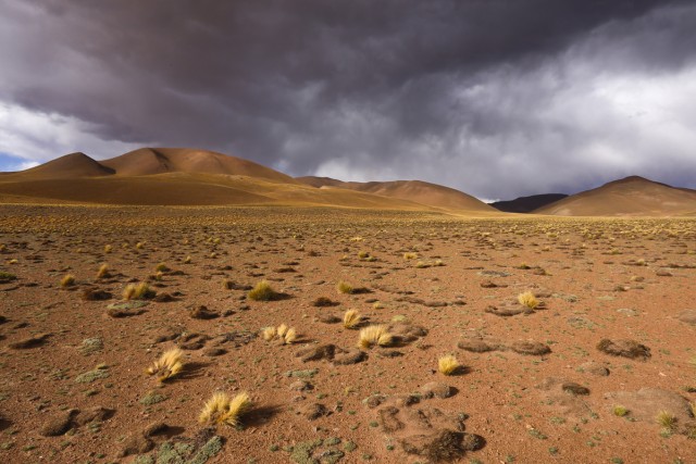 Desolate Puna landscape, NW Argentina.